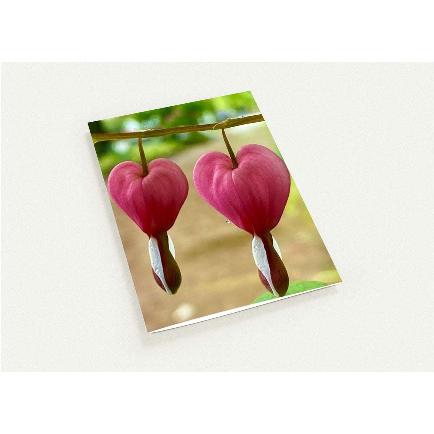 1e850b8e-6254-40fd-bd80-3e693d992610