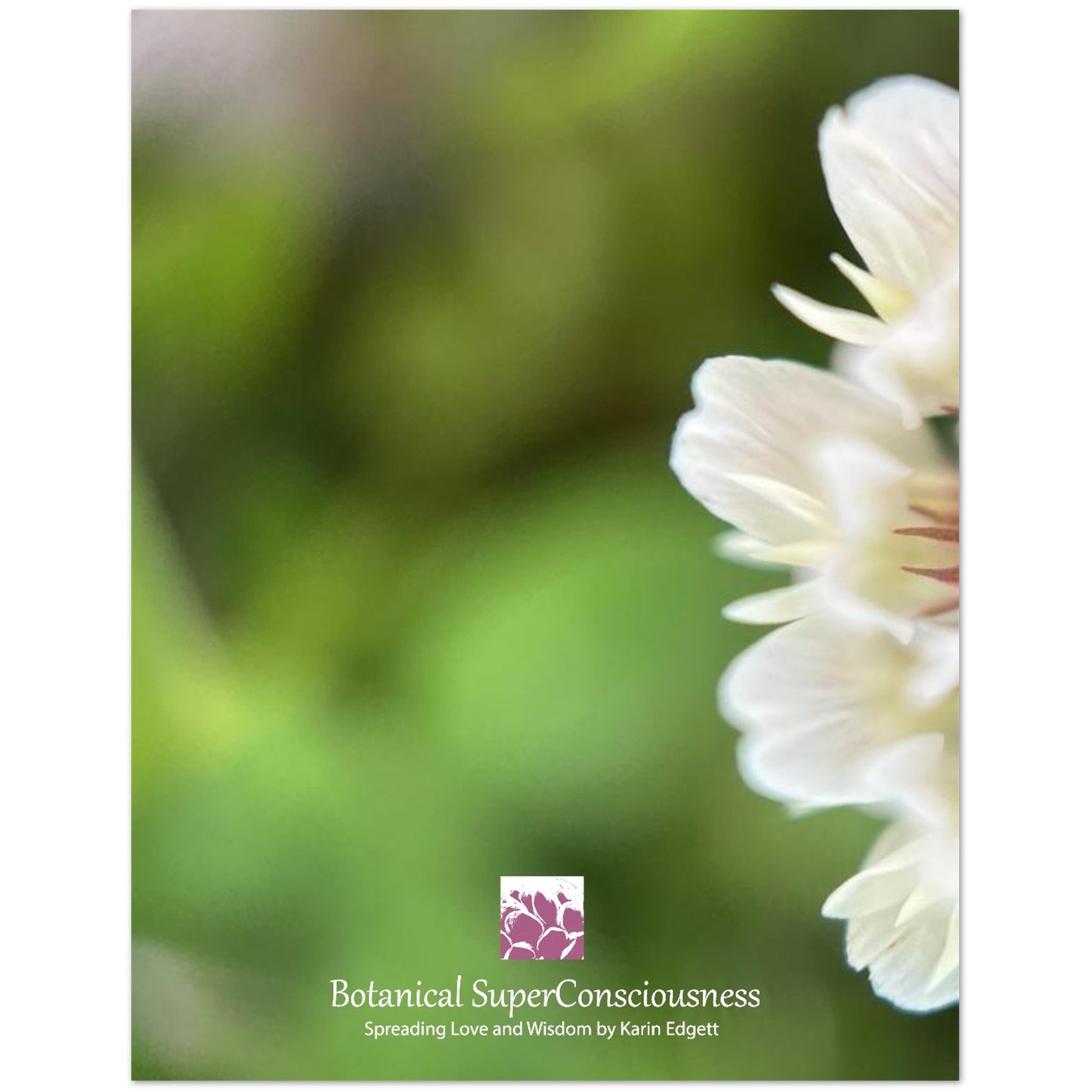 53ec5ba2-af9b-44ac-b75a-4c47efa53692