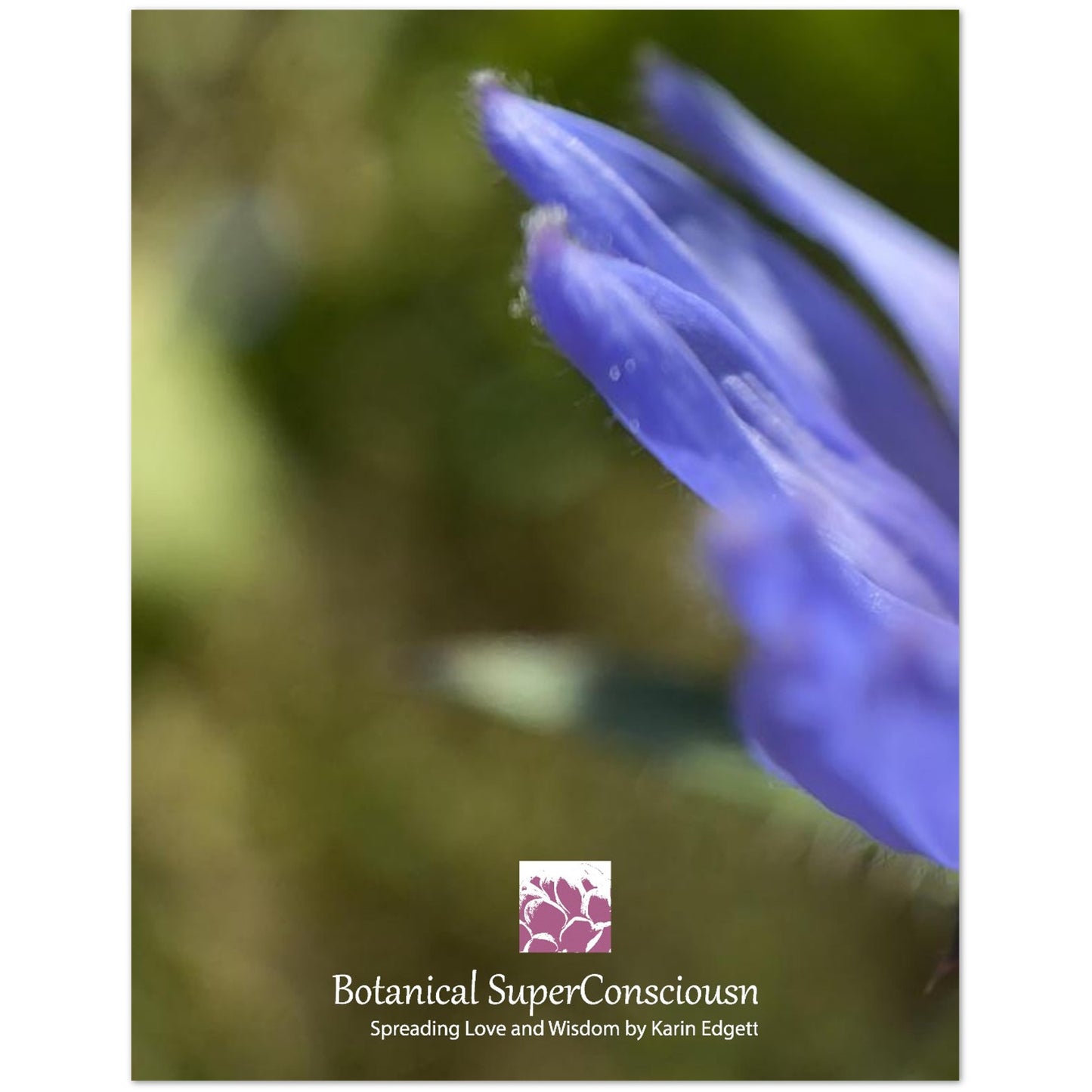 75885b10-45d7-407e-837d-86b8dfd5ad96