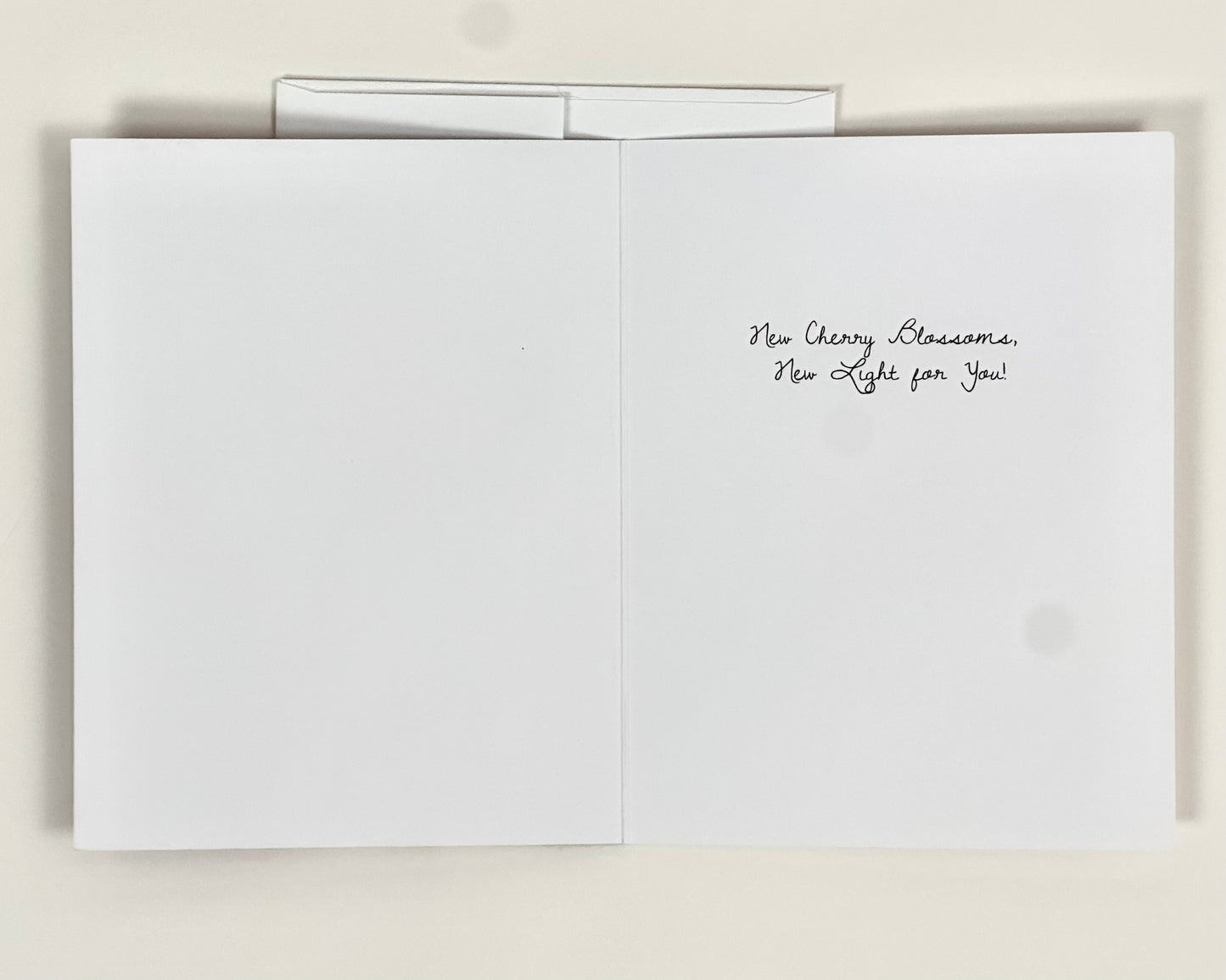 Cherry Blossoms New Light