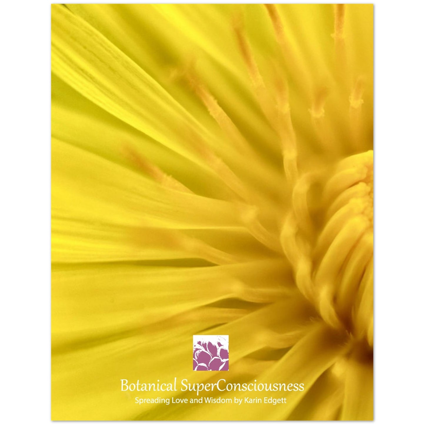 dcd8c4b3-7f68-4d07-a22f-7a85f31996a0