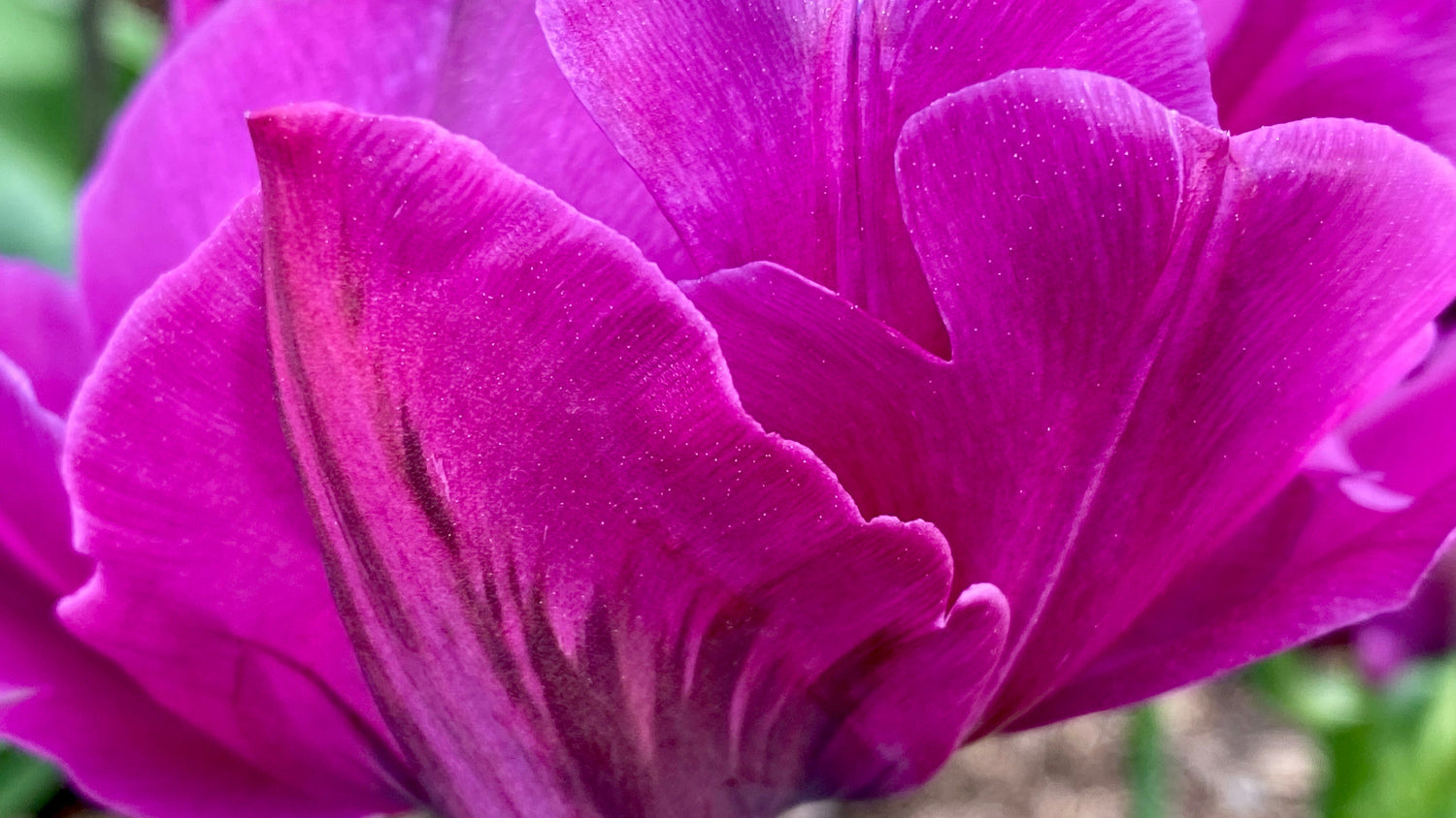 Springtime