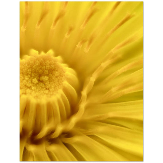 2c5db7d5-abea-4287-8bdf-1f30f777b66d