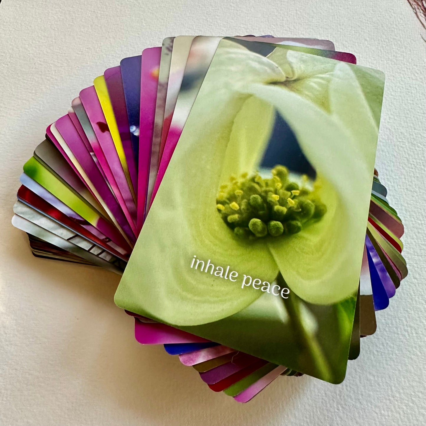 Botanical Vision oracle cards